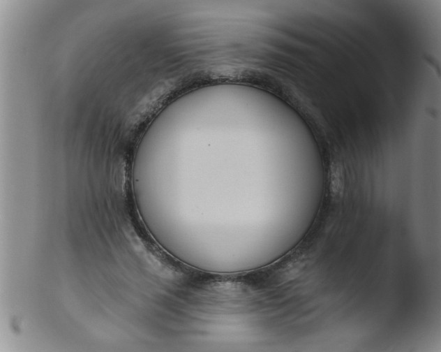 X0000103490637200809261951