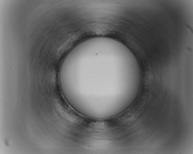 X0000103490639200809261951