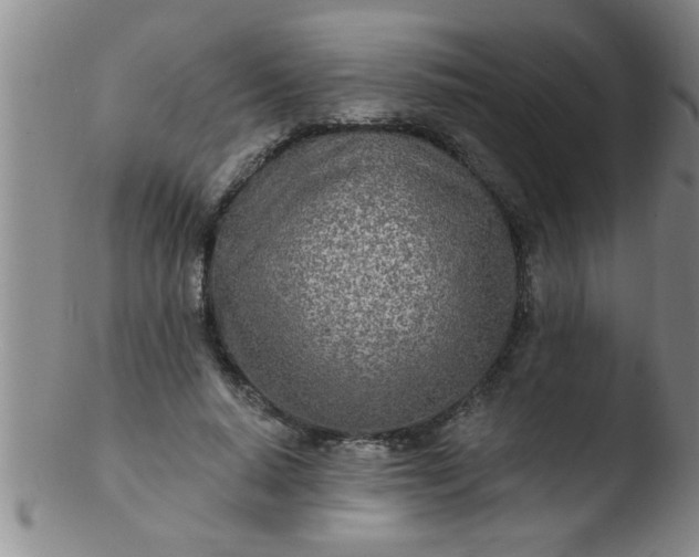 X0000103490640200809261951