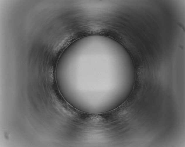 X0000103490642200809261951