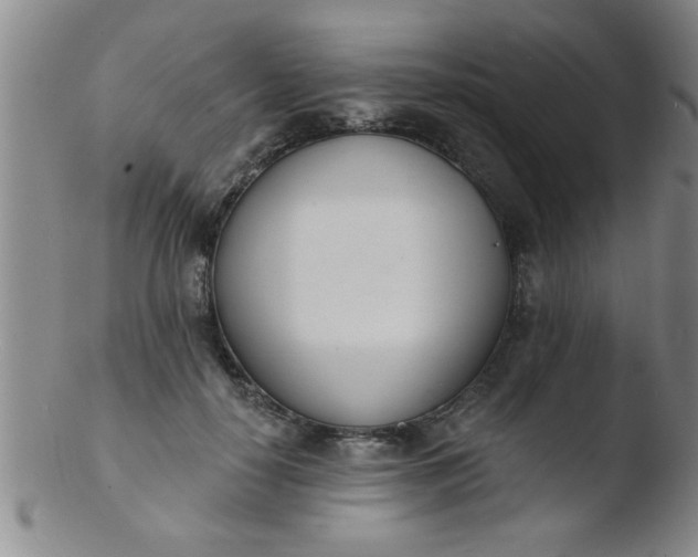 X0000103490650200809261951