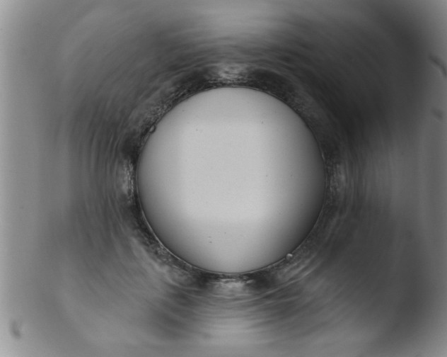 X0000103490651200809261951