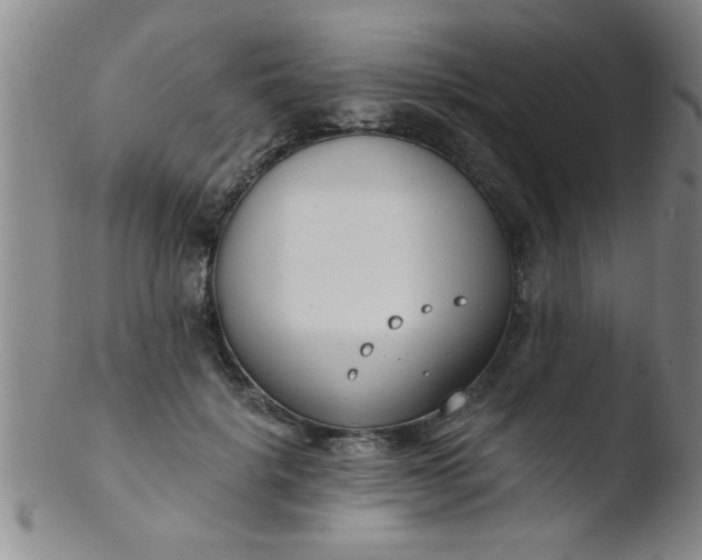 X0000103490652200809261951