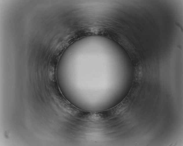 X0000103490656200809261952