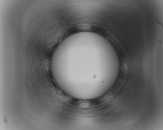 X0000103490658200809261952