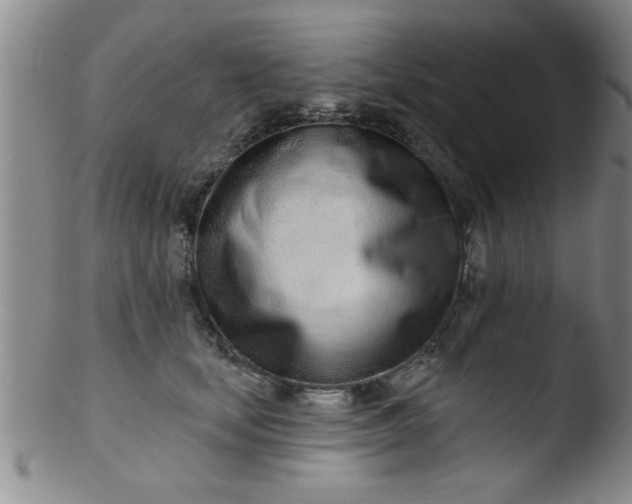 X0000103490659200809261952