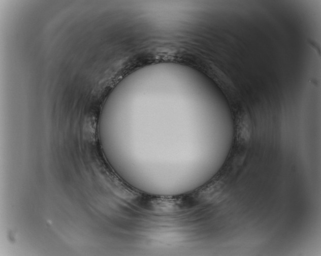 X0000103490661200809261952