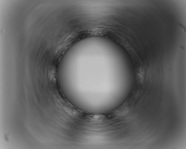 X0000103490663200809261952