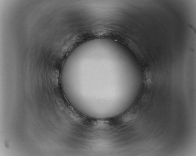 X0000103490664200809261952