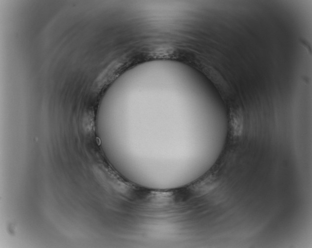 X0000103490665200809261952