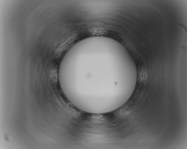 X0000103490666200809261952