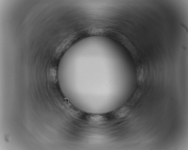 X0000103490669200809261952