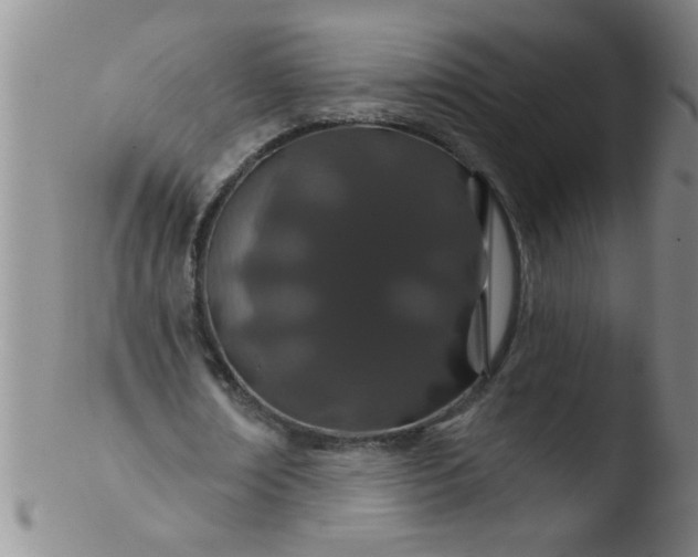 X0000103490674200809261951