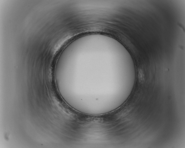 X0000103490676200809261951