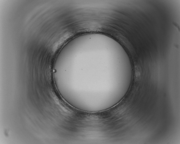 X0000103490677200809261951