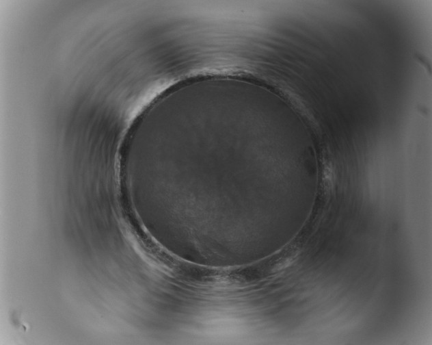 X0000103490678200809261951