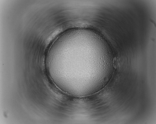 X0000103490679200809261951