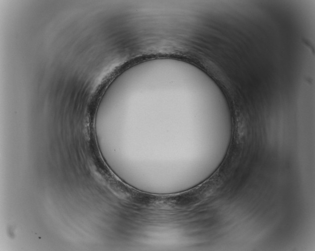 X0000103490680200809261951