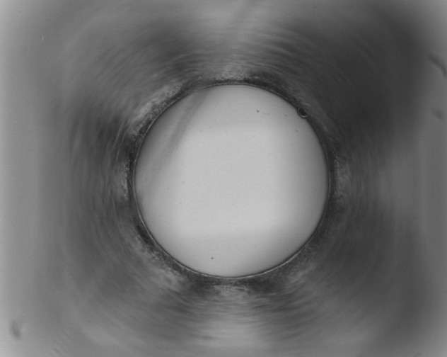 X0000103490681200809261951