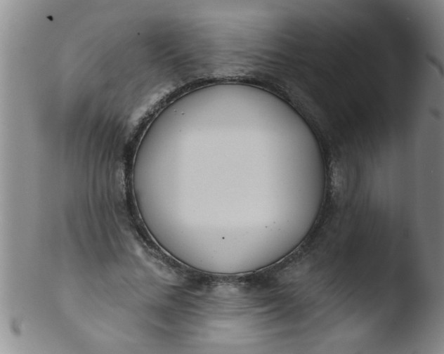 X0000103490684200809261951