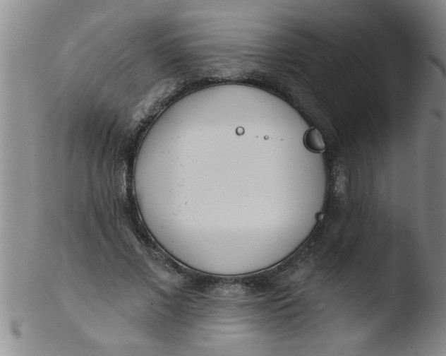 X0000103490685200809261951