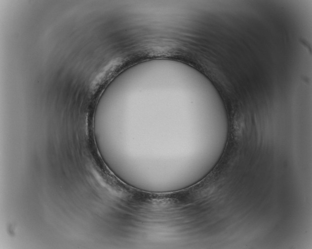 X0000103490686200809261951