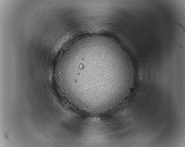 X0000103490687200809261951