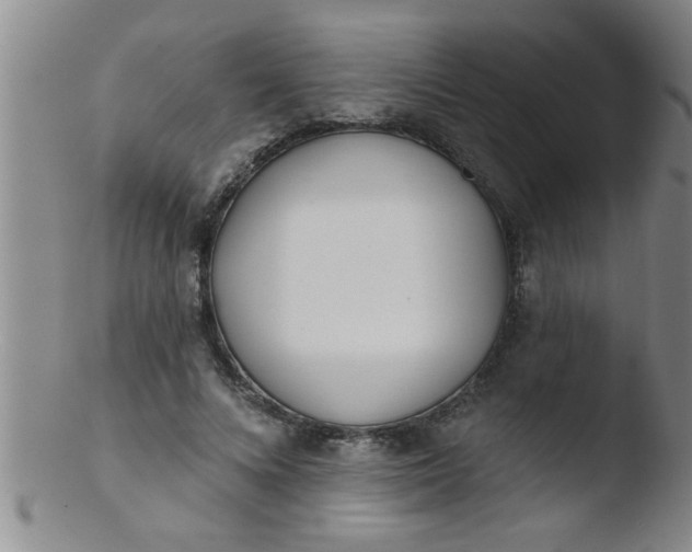 X0000103490688200809261951