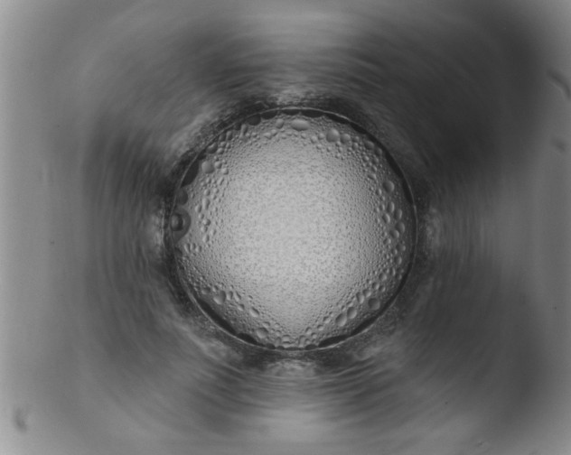 X0000103490691200809261951