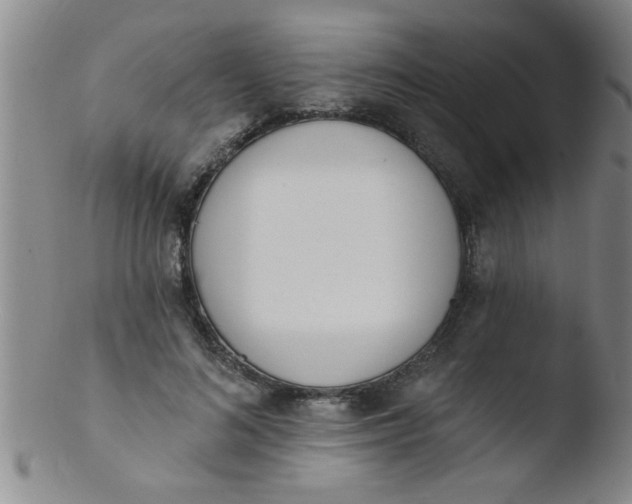 X0000103490692200809261951