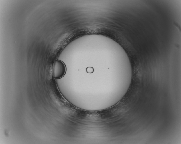 X0000103490694200809261951