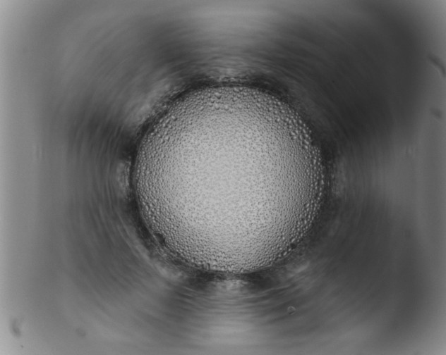 X0000103490695200809261951