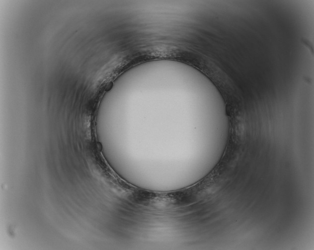 X0000103490696200809261951