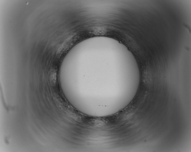 X0000103490697200809261951