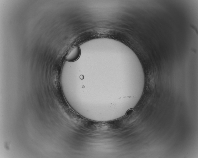 X0000103490698200809261951