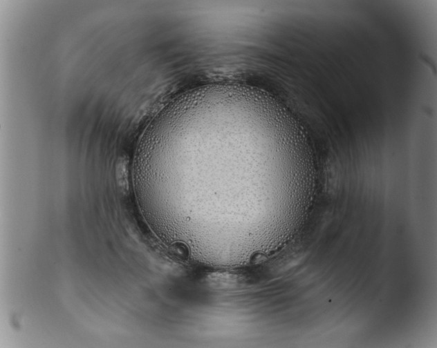 X0000103490699200809261951