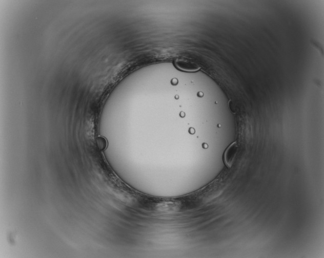 X0000103490700200809261951