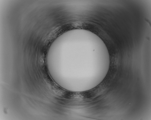 X0000103490702200809261951