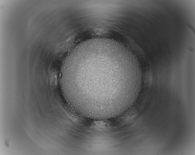 X0000103490703200809261951