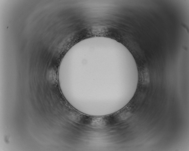 X0000103490705200809261951