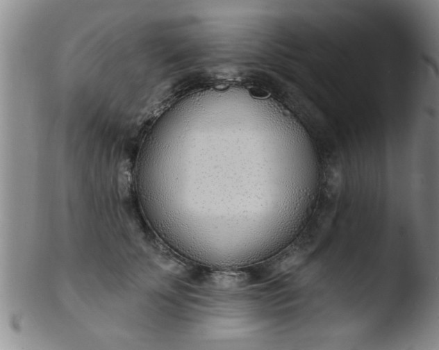 X0000103490707200809261951