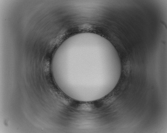 X0000103490708200809261951