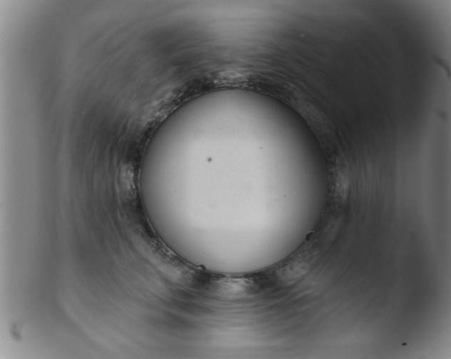 X0000103490711200809261951