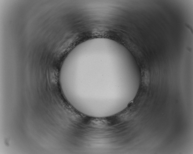 X0000103490712200809261951