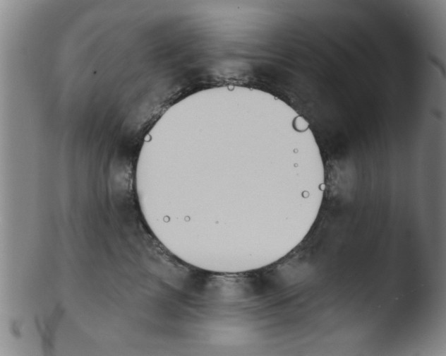 X0000103490713200809261951