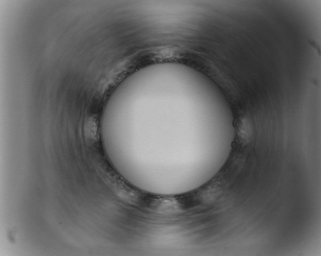 X0000103490715200809261951