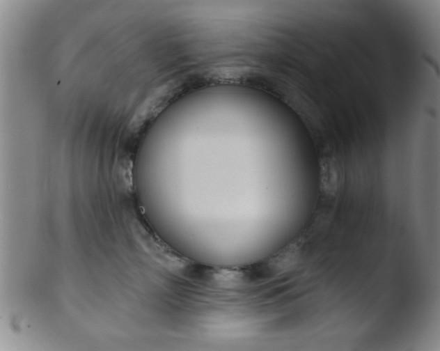 X0000103490718200809261950