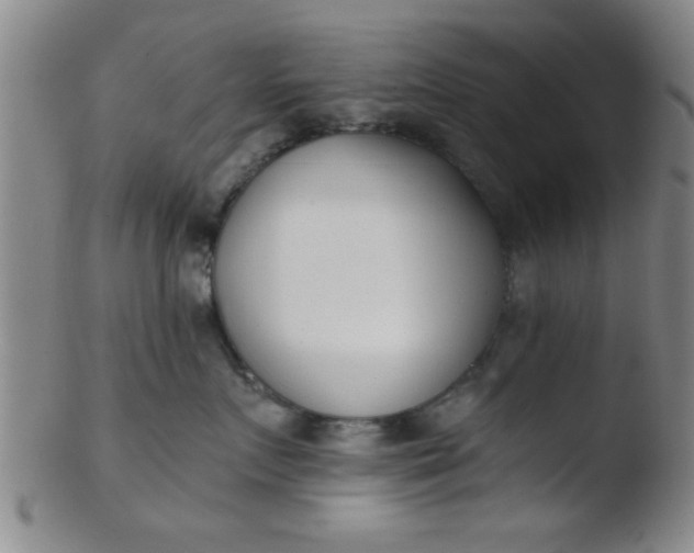 X0000103490719200809261950