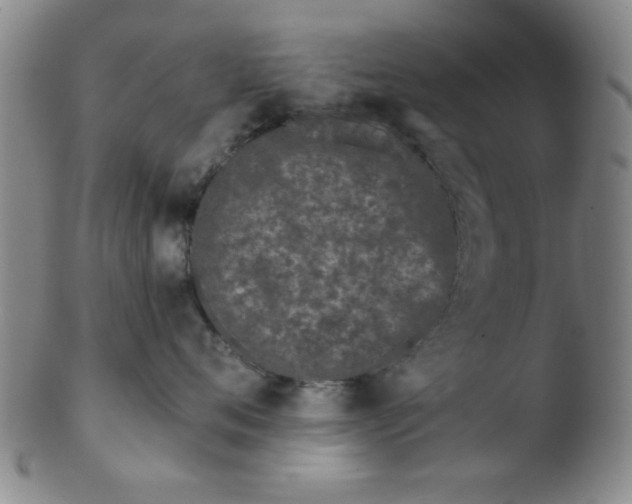 X0000103490720200809261950