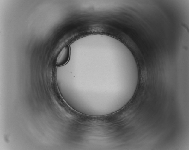 X0000103490722200809261950